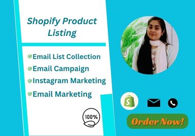 I will be your web site design and product listing