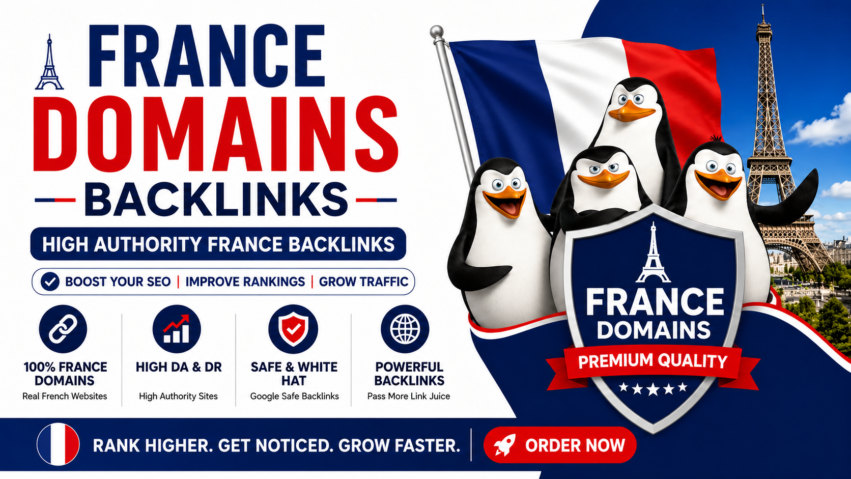 Get 100+. fr France based domains backlinks