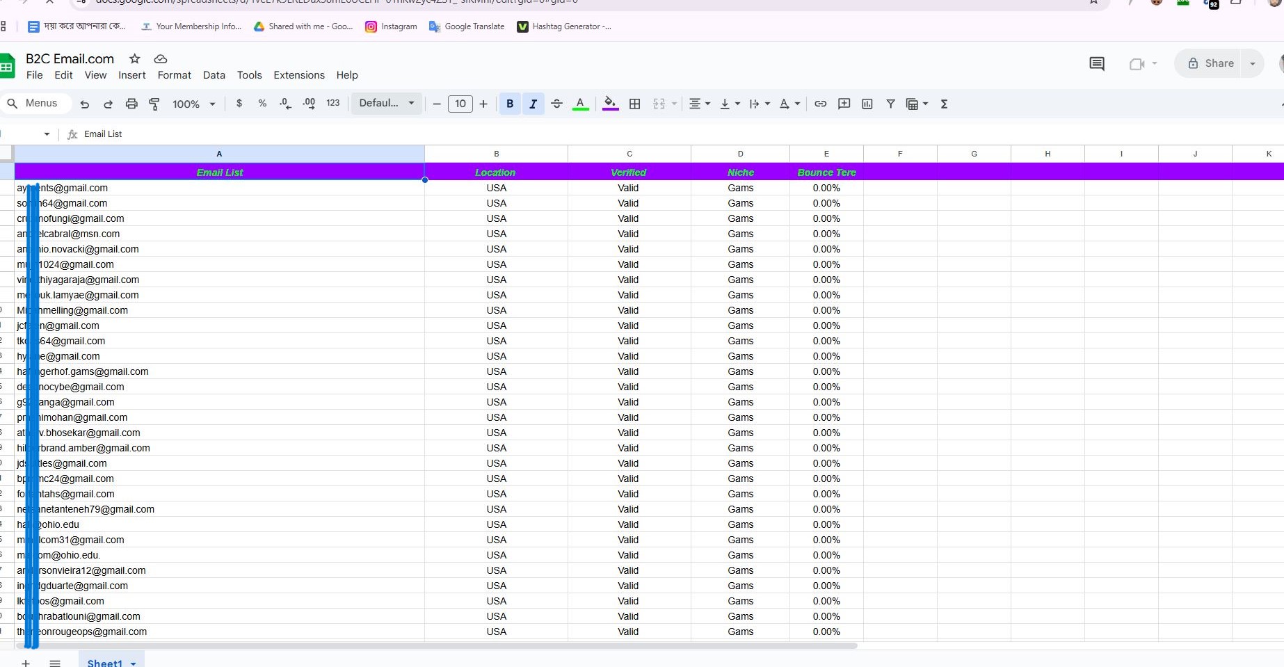 Get 400K+ Targeted, Active & Verified Niche-Based Email Lists