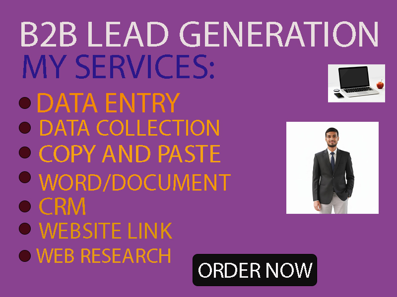 I will do b2b lead generation and data entry for your...