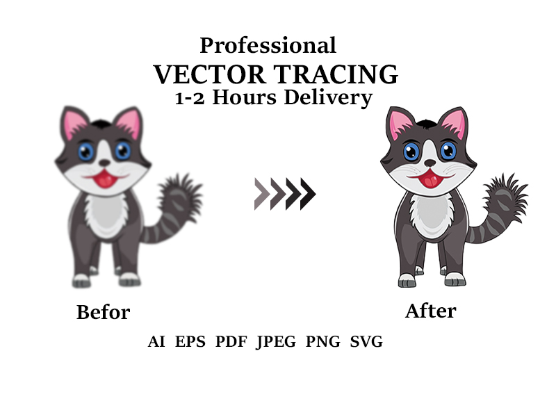 I will do professional vector tracing, image or logo tracing, convert to vector ai