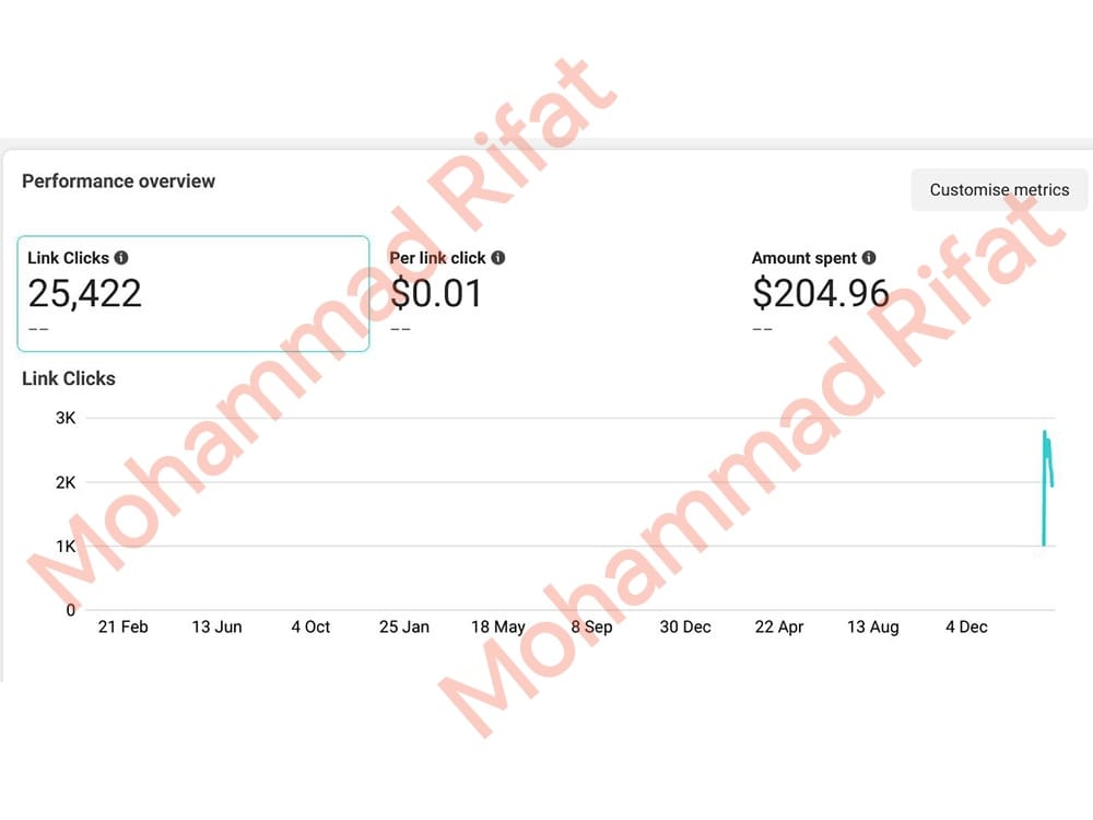 I Will Manage Paid Ads to Boost Your Business Online