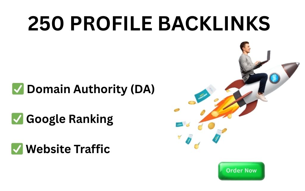 I will build 250 high quality profile backlinks for S...