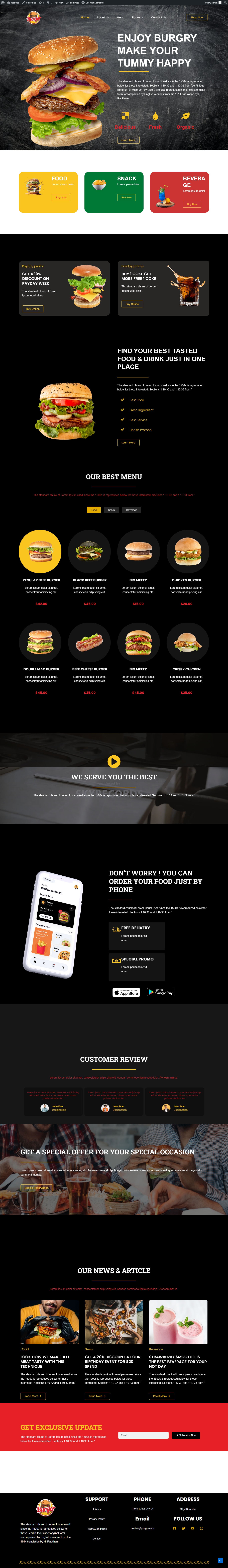 Website Design in wordpress elementor Builder
