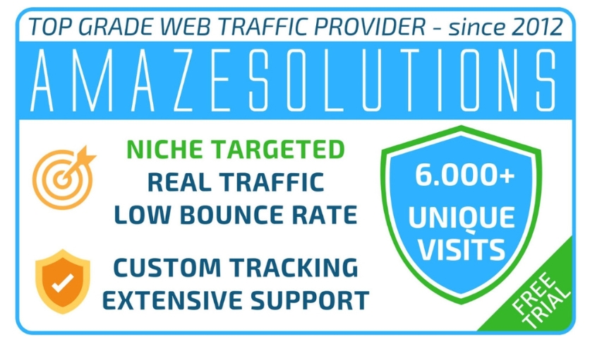 I will bring USA organic web traffic