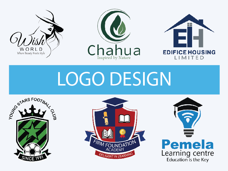 I Will Create a Distinctive Brand Logo That Makes You...