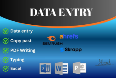 I will do fast and accurate data entry, copy paste, ...