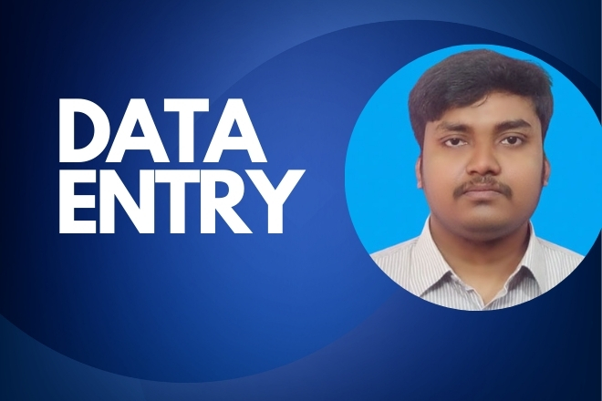 I Will Provide Professional Excel Data Entry and Web ...