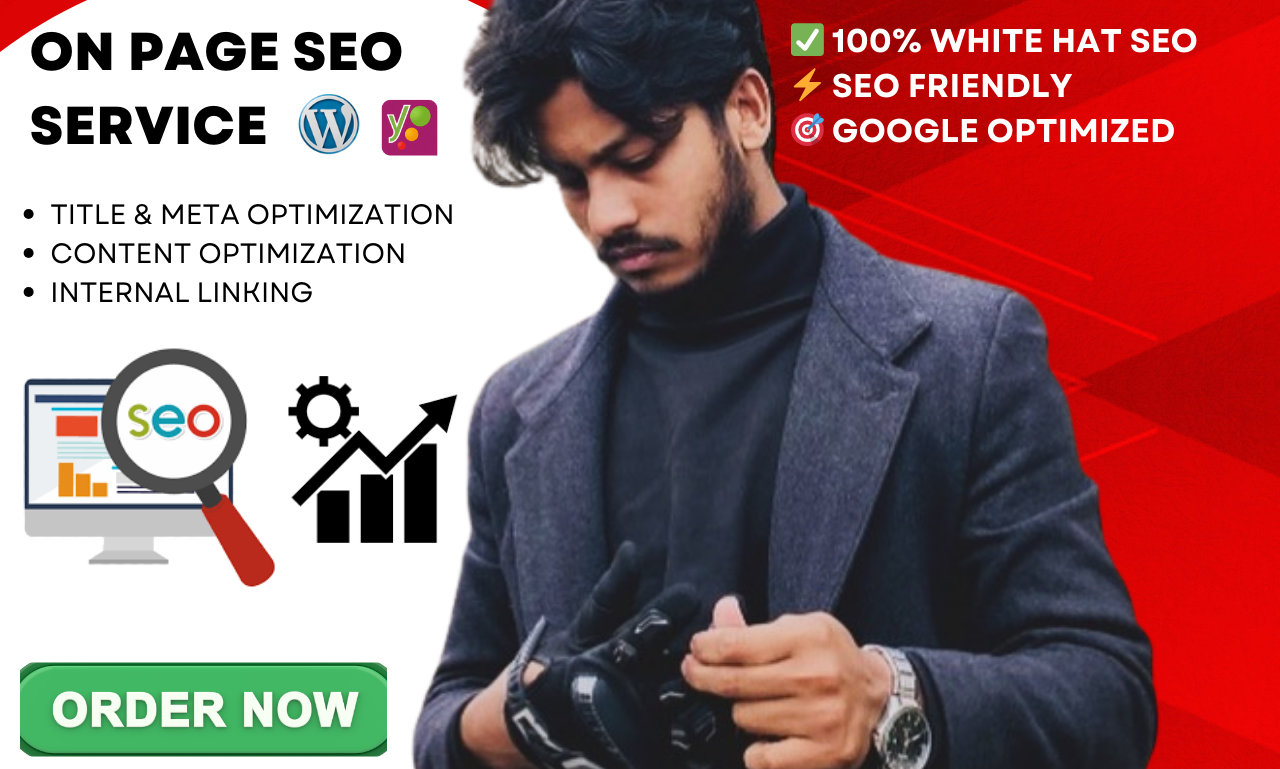 I will do Professional On-Page SEO Optimization with ...