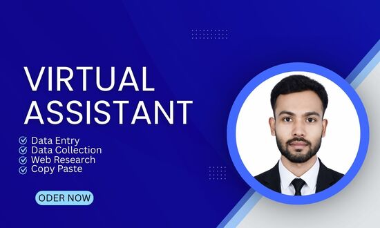 I will be your virtual assistant for data entry, dat...