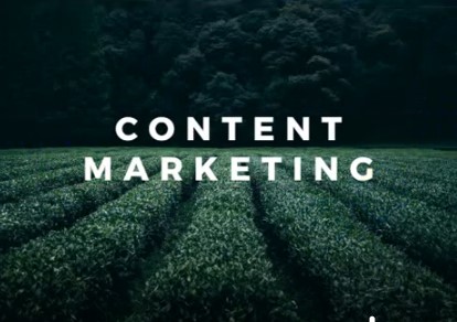 I am a Digital Content Specialist specializing in all...