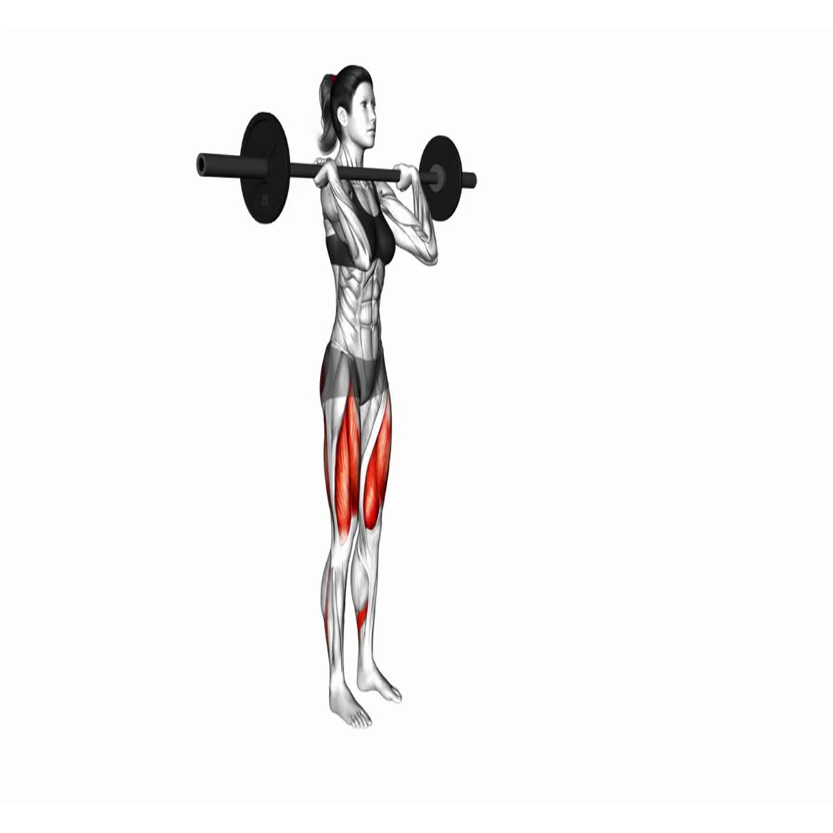 500 Professional 3D Workout Exercise Animations - White Background