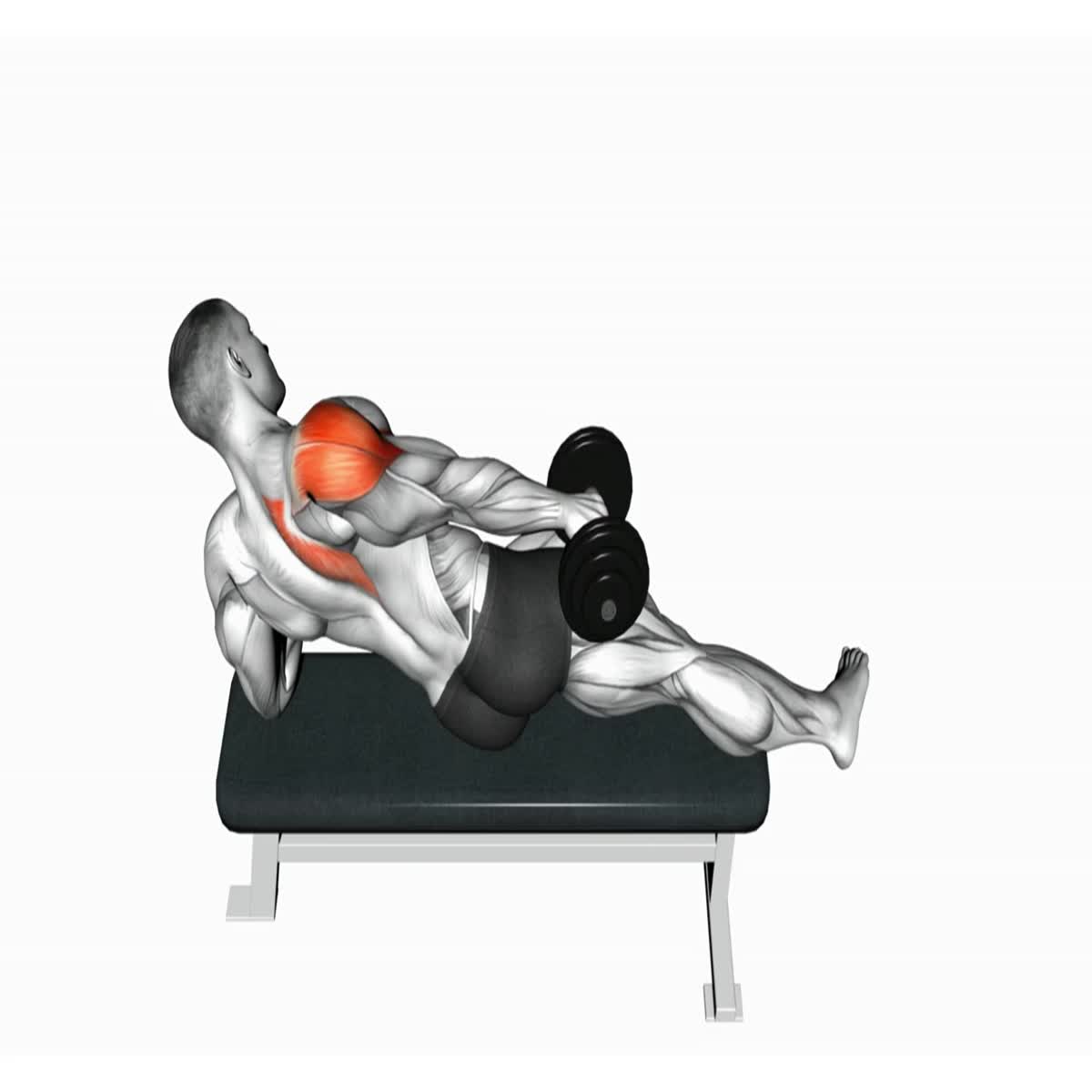 500 Professional 3D Workout Exercise Animations - White Background
