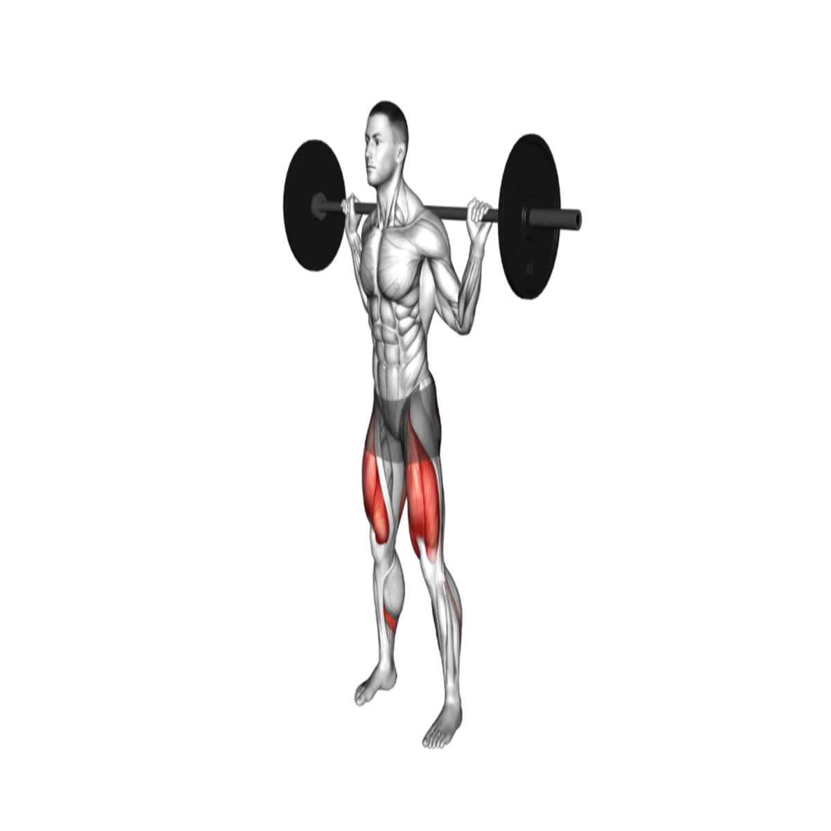 500 Professional 3D Workout Exercise Animations - White Background