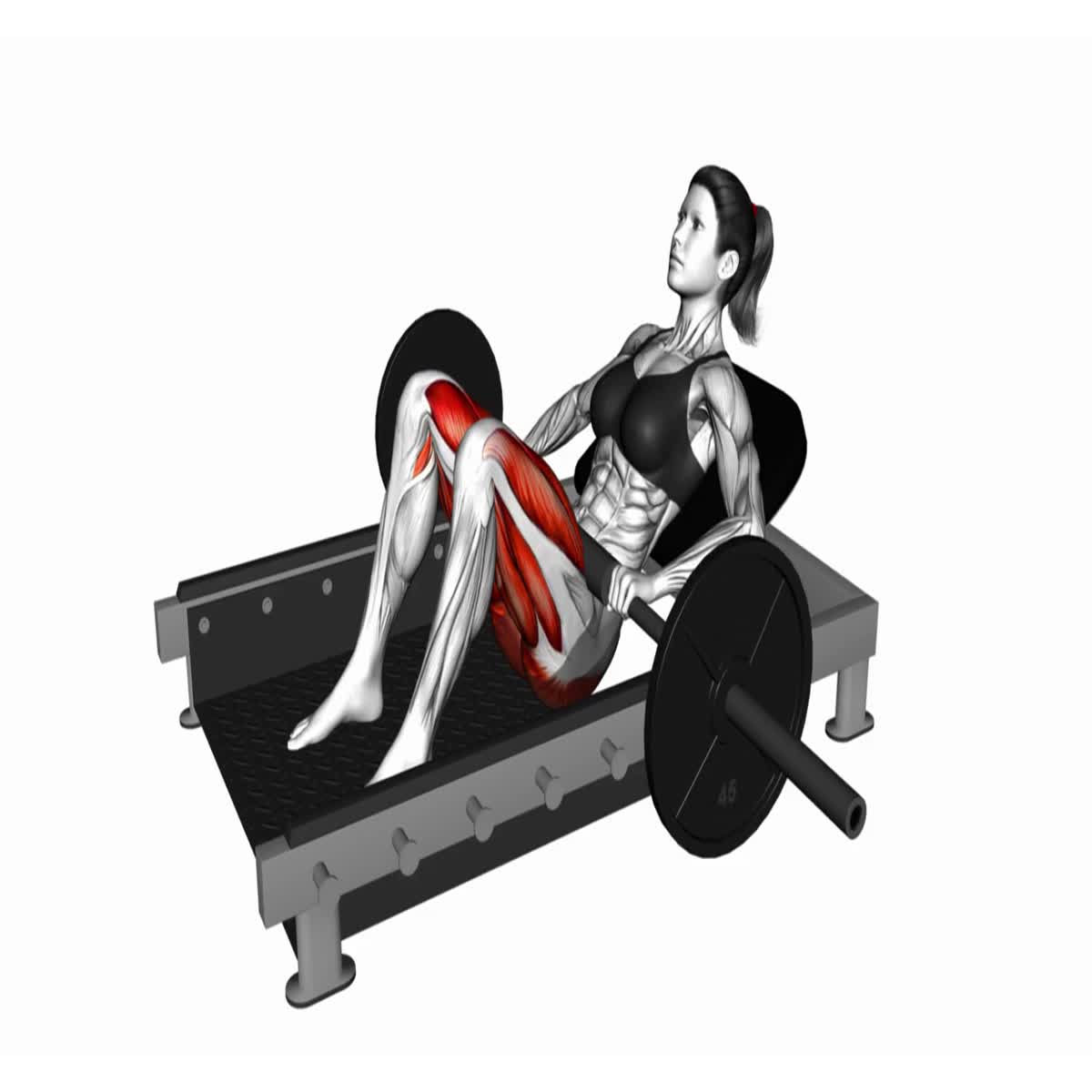 500 Professional 3D Workout Exercise Animations - White Background