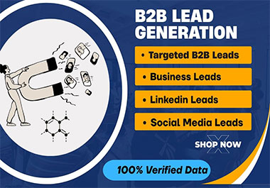 I am a B2B Targeted lead generation, Email list buil...