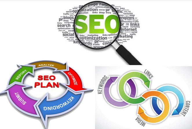 I will do SEO Doctor seo report