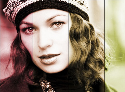 Install Incredible Premium SEO Pack plugin to wordpre...