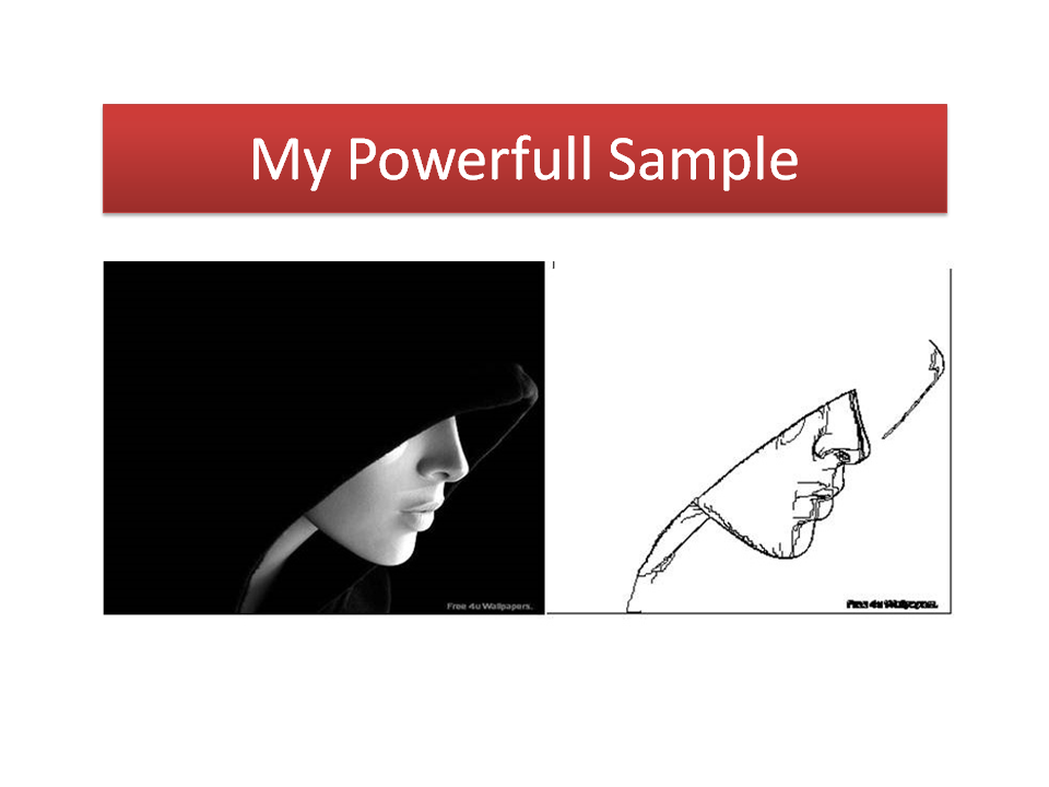 I will turn your photo in black and white drawing illustration