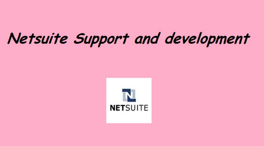 I do Netsuite scripts and customizations very fast Service ask for custom quote.(basic gig)