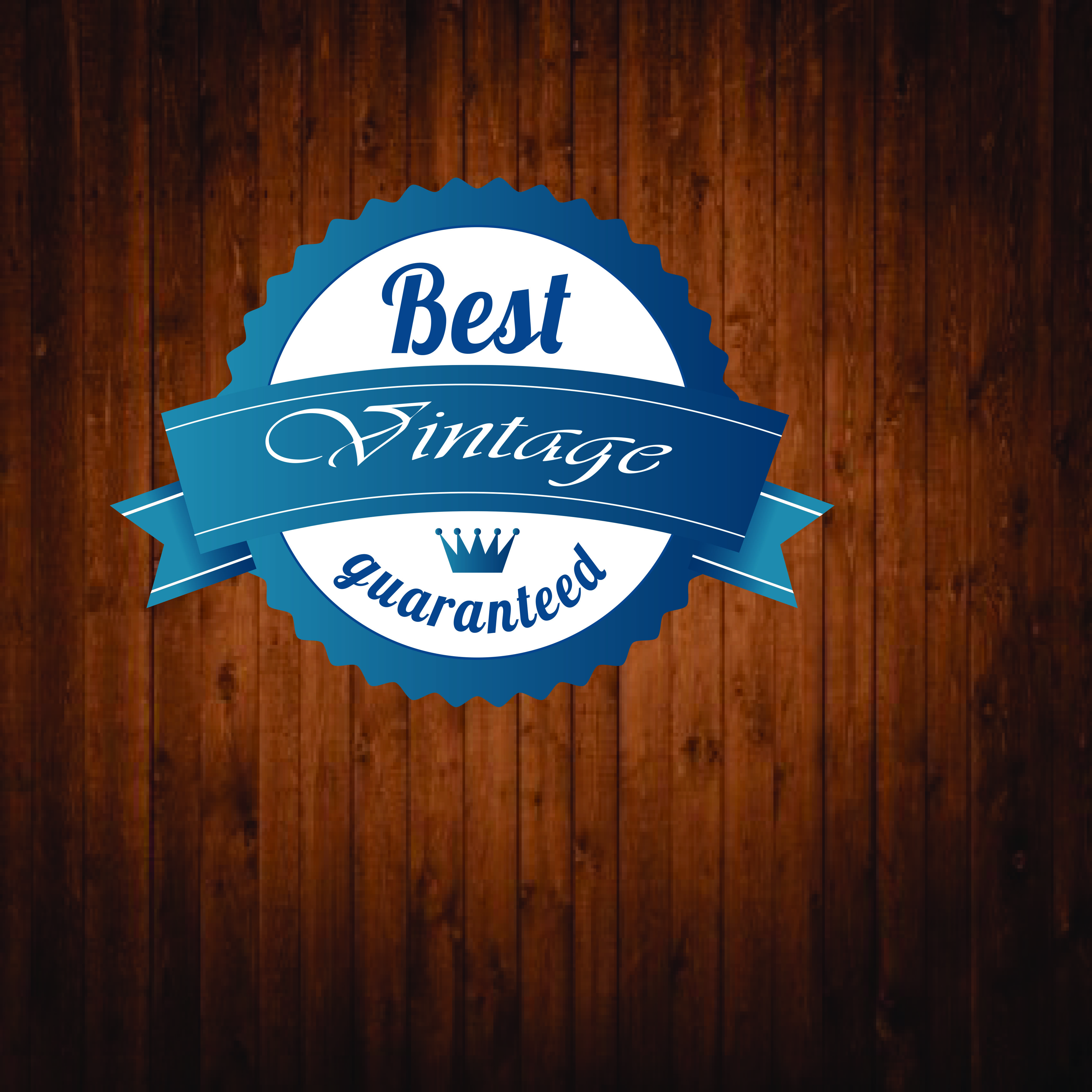 I will design original retro vintage logo