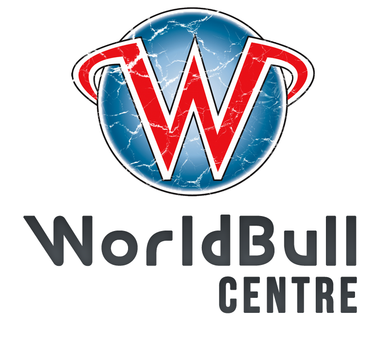 I will design 3 Professional Logo