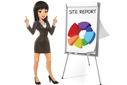 I will create a Custom SEO Report for any site 