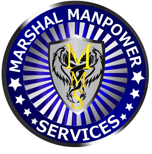 Get Professional Eye-Catching Logo with revisions