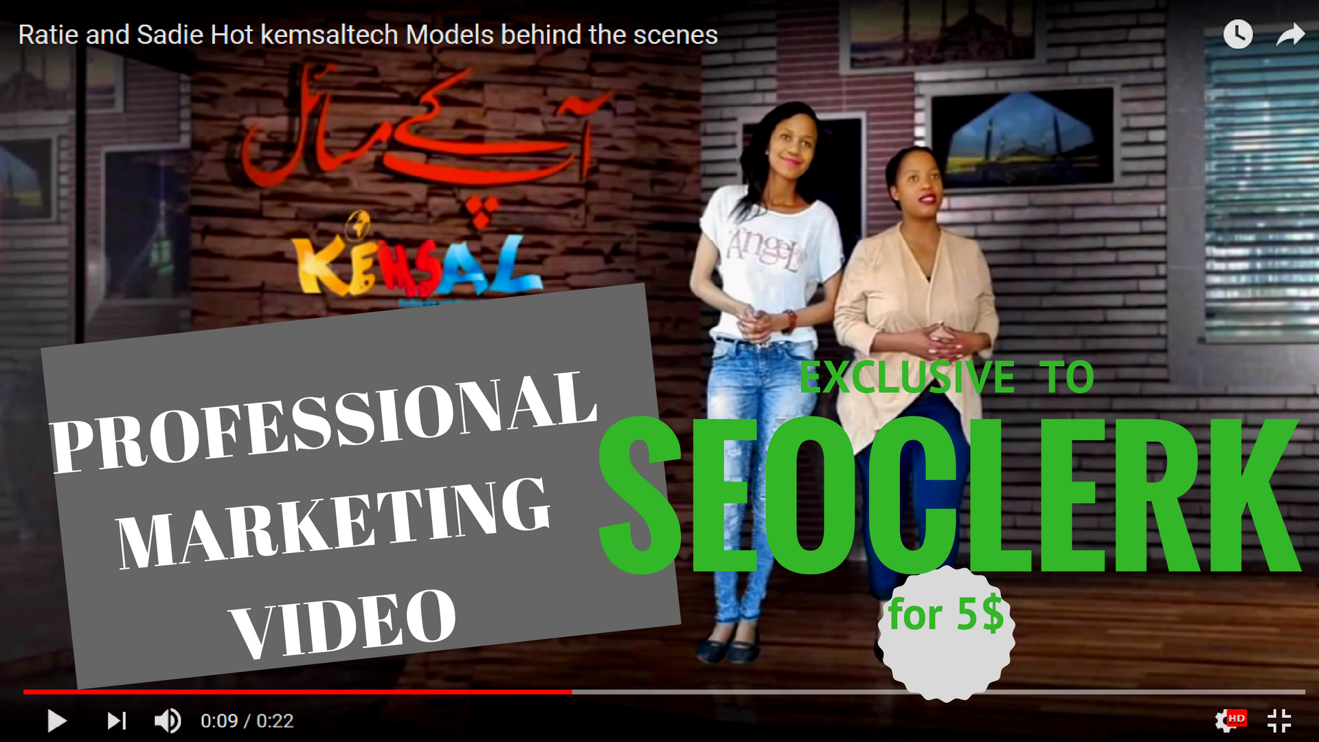PROFESSIONAL marketing video to make company look wor...
