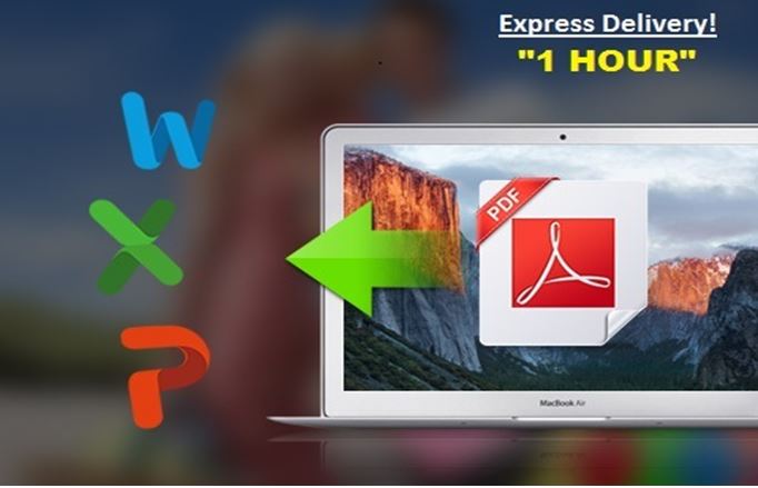 Convert & Format Your PDF Doc to Word, Excel and PowerPoint