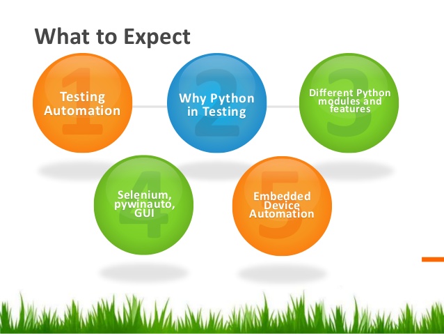 Programing In Python, Perl, Django, Google Go, Bash ...