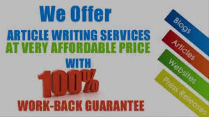  Write 2 x 500 words well researched SEO article in split niche