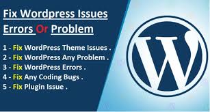 any wordpress website fix