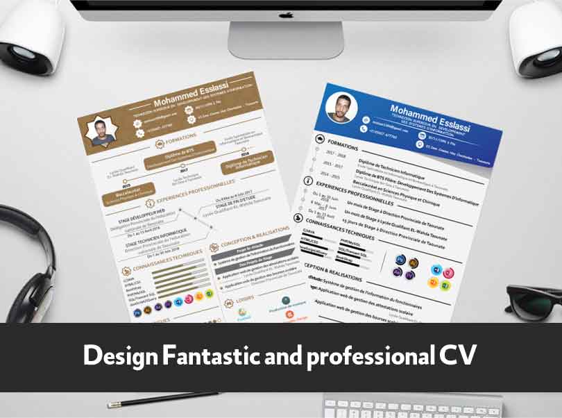 Design Fantastic and professional CV (English - French)