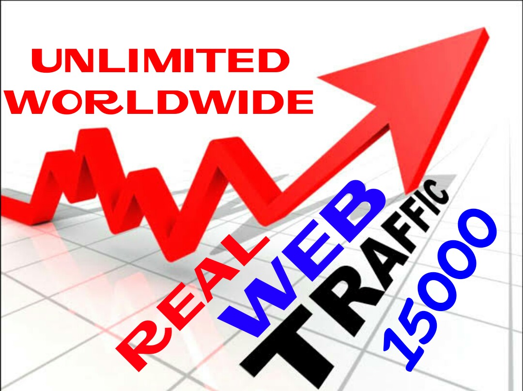Provide 15000 + Real Human Web Traffic
