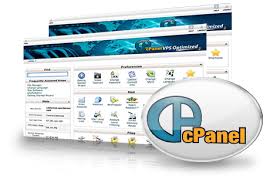 Reseller Hosting 1 year cpanel reseller