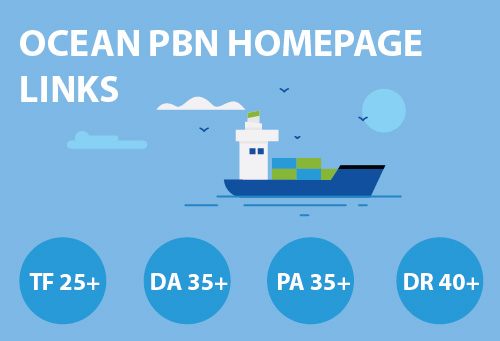 Build 10 High Metrics DA PA TF CF Dofollow PBN Backlinks