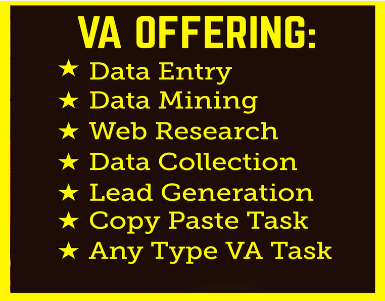 be your virtual assistant for data entry, data minin...