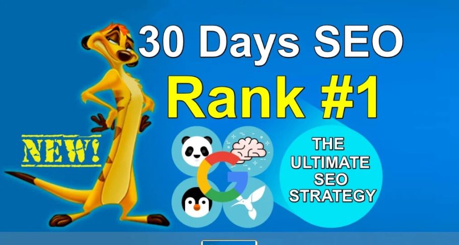 Daily Manual DA50+ High Authority Backlinks for Powerful SEO Growth