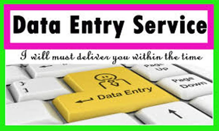 Data Entry/ SEO Work with professionally by educated and experienced person.
