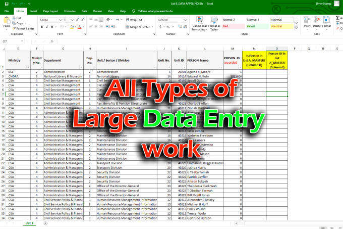 6 years Experienced Virtual Assistant of "Data Entry Work" within 12 hours work