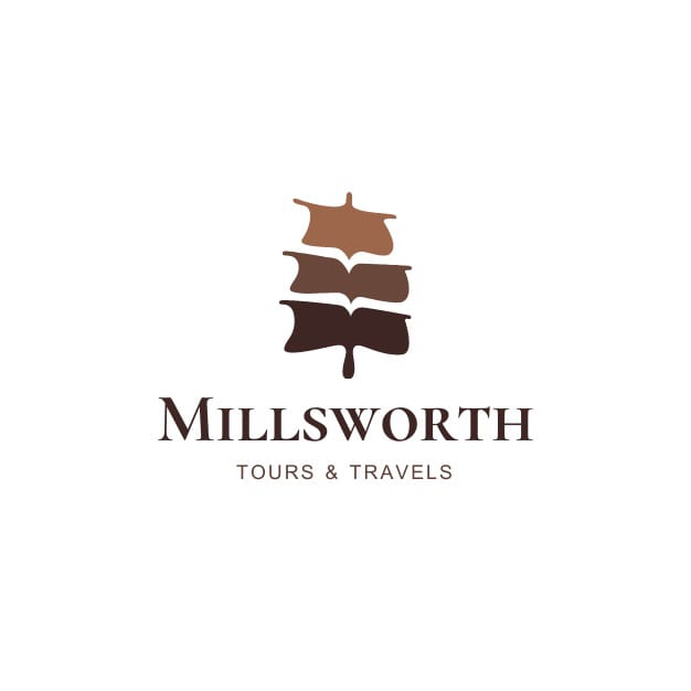 I will design professional eye catching attractive modern logo in 24 hours