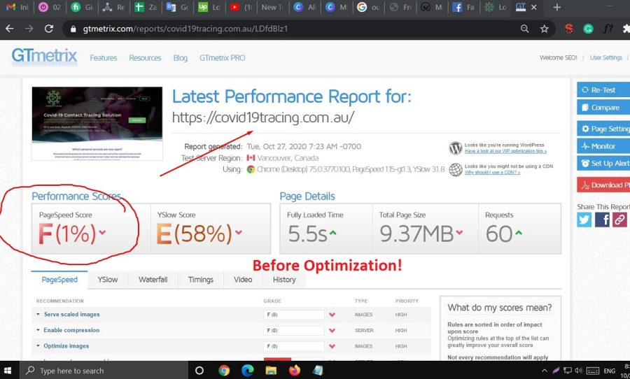 I will do wordpress website speed optimization for google pagespeed and gtmetrix