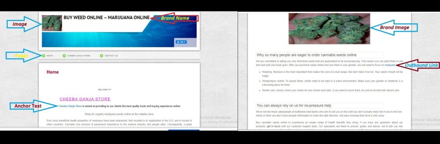 Latest Google Algorithm For 20 HQ Web2.0 Dofollow Backlinks