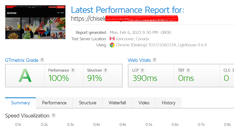 WordPress Website Page Speed Optimization on GTmetrix