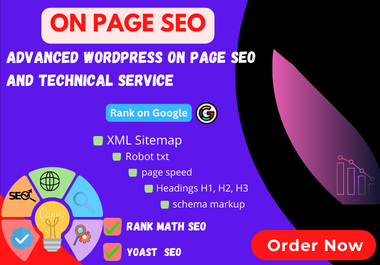 I will provide advanced WordPress on page SEO and technical optimization 