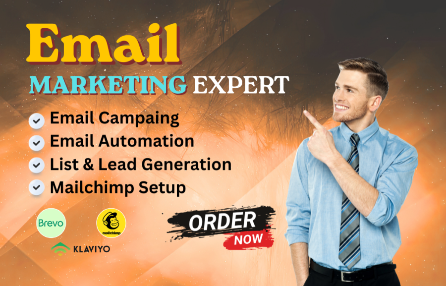 I will create and manage professional email campaigns for your business