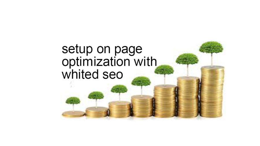 setup on page optimization with whited seo 100% qualityfull seo service  