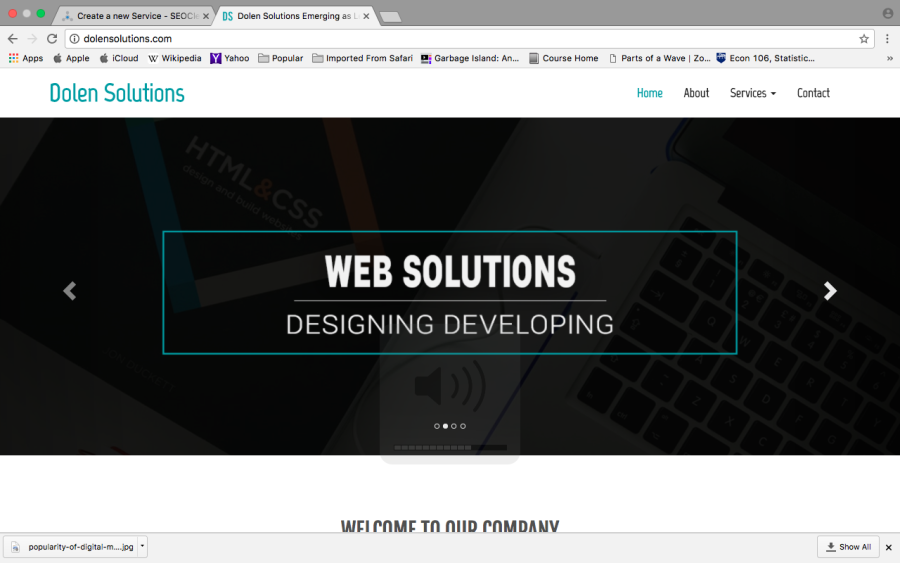 20 HighQualityBacklinks and FREE Analysis of Links by www.dolensolution.com