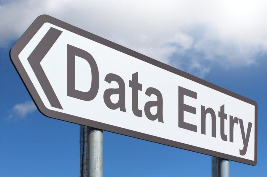 Data Entry Clerk, Digital marketing, Pdf conversions, photo editing, video editing.